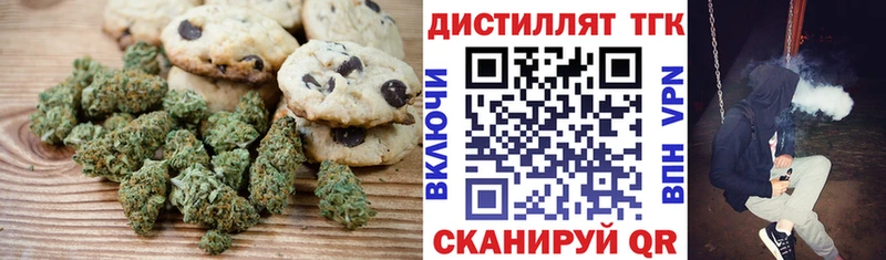 это телеграм  Ядрин  Canna-Cookies марихуана  KRAKEN зеркало 