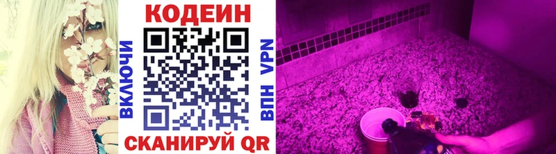 цена наркотик  Ядрин  KRAKEN зеркало  Кодеиновый сироп Lean Purple Drank 