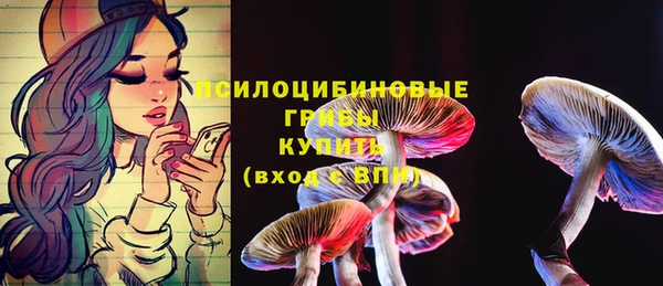 сатива Алексин