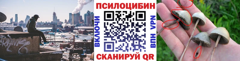Галлюциногенные грибы Psilocybine cubensis  Ядрин 